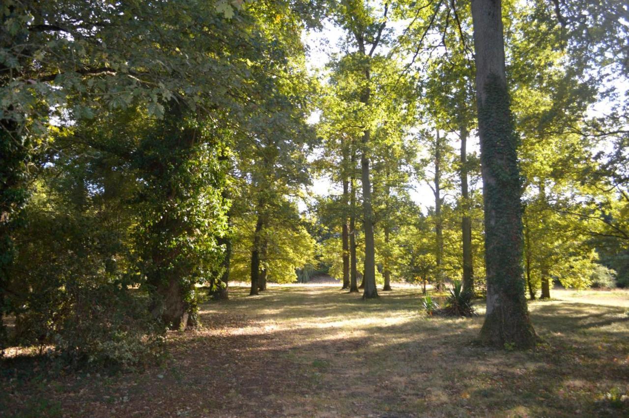 Saint-Jean-le-Blanc Zenbreak Chambre Vue Sur Parc المظهر الخارجي الصورة